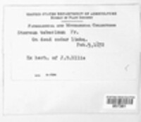 Image Associated With the Occurence